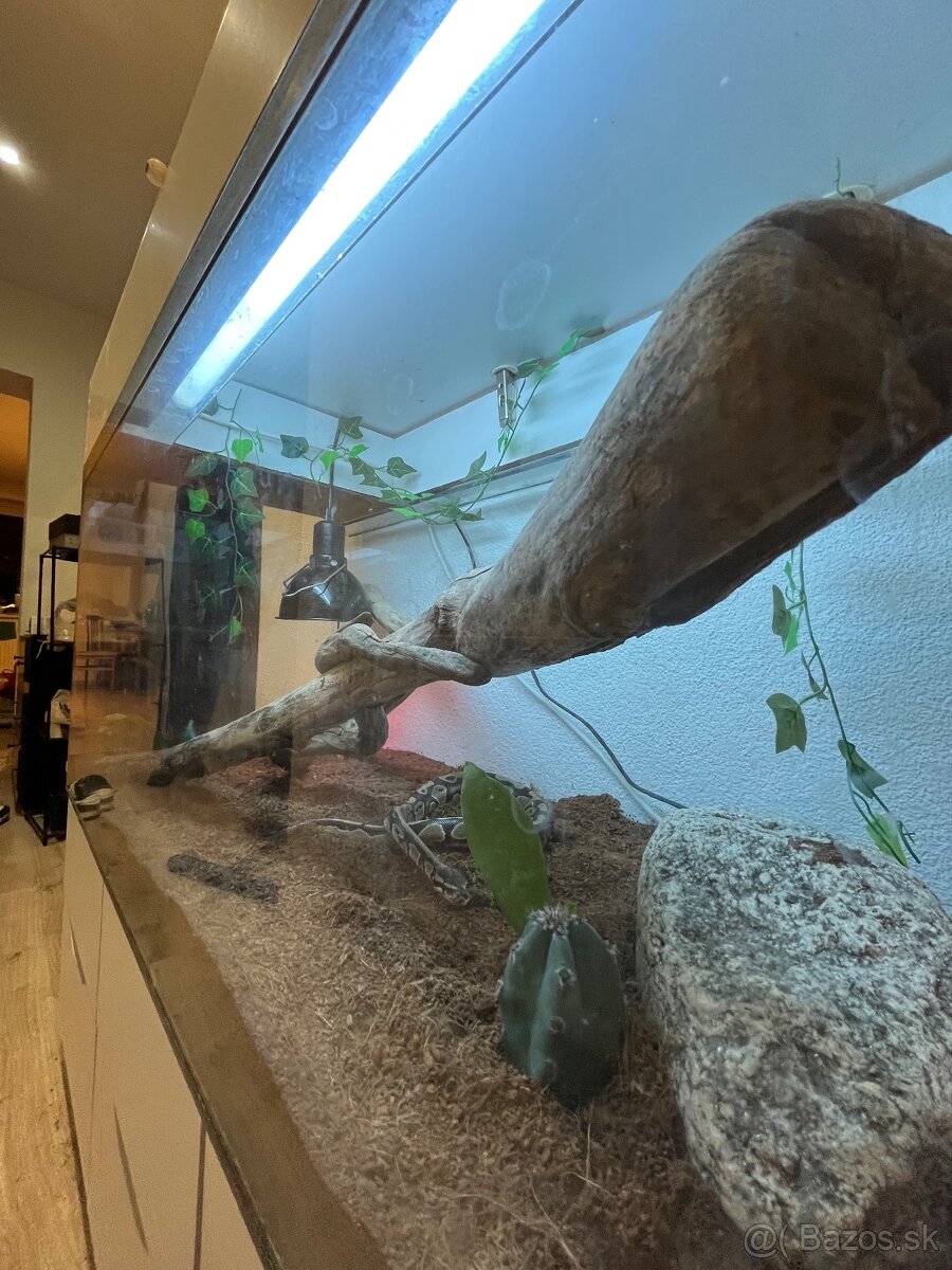 Ručne robená teraristická zostava / Terárium - 6