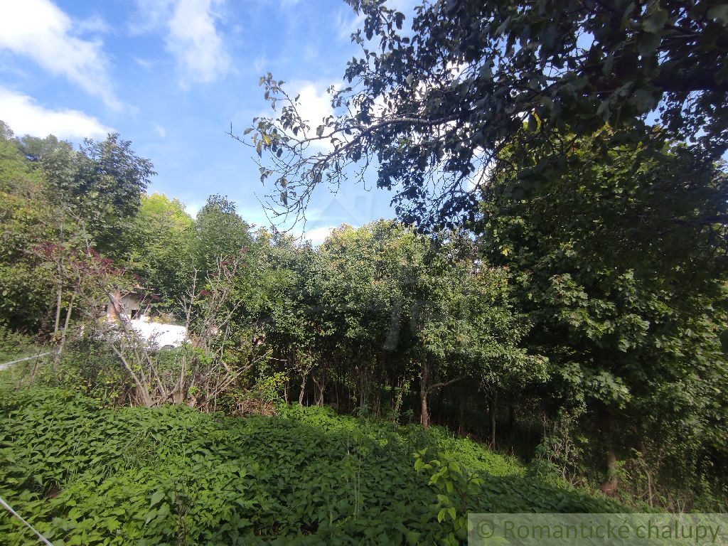 NOVÁ CENA Postavte si chalupu snov uprostred prírody - 6