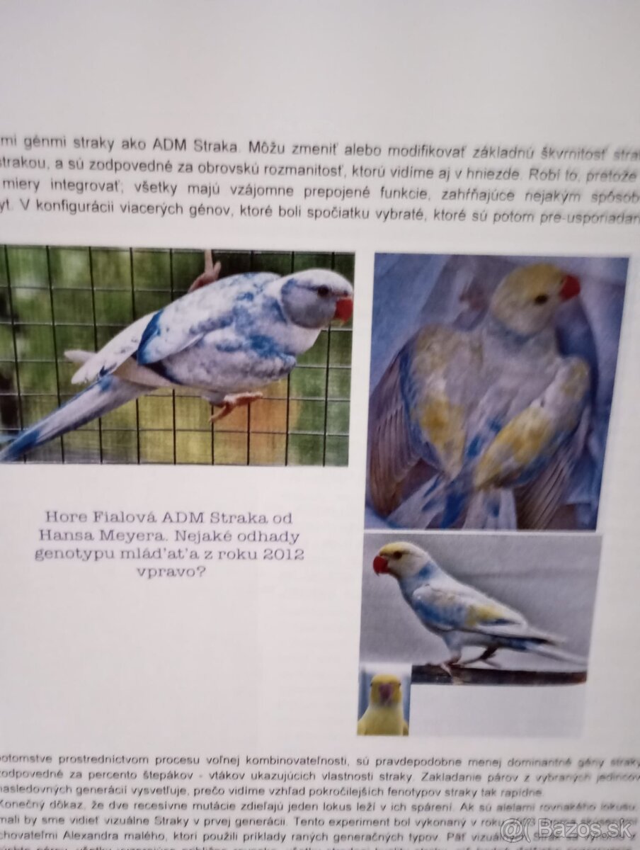Knizka alexander maly genetika - 6