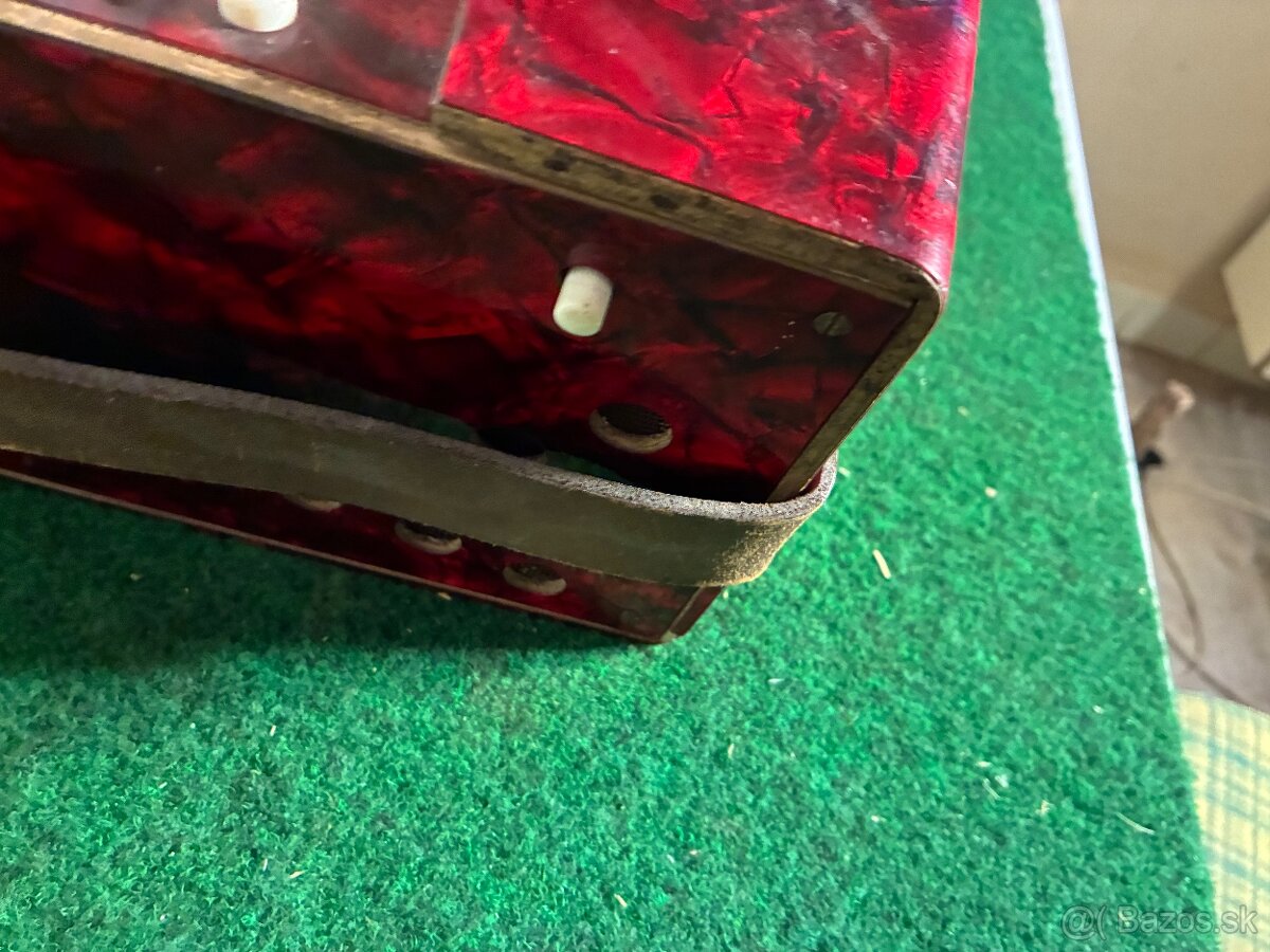 Harmonika Weltmeister - 6