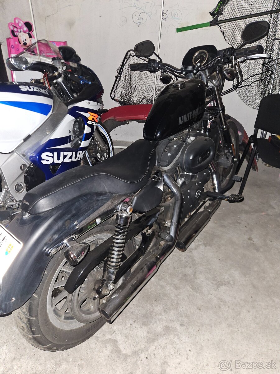 Harley - 6