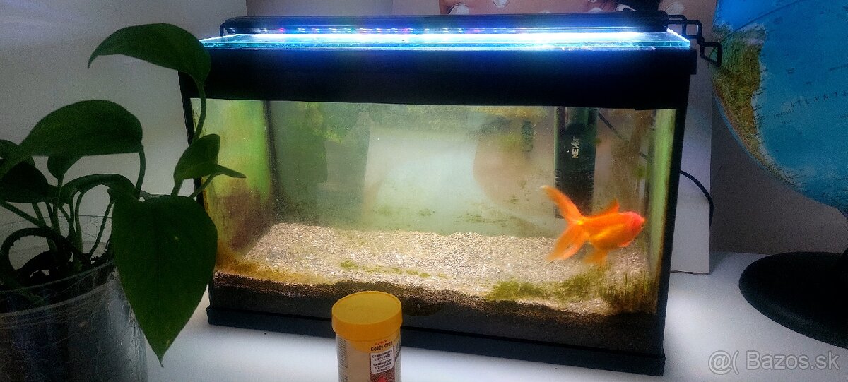 Aquarium 2x s príslušenstvom - 6