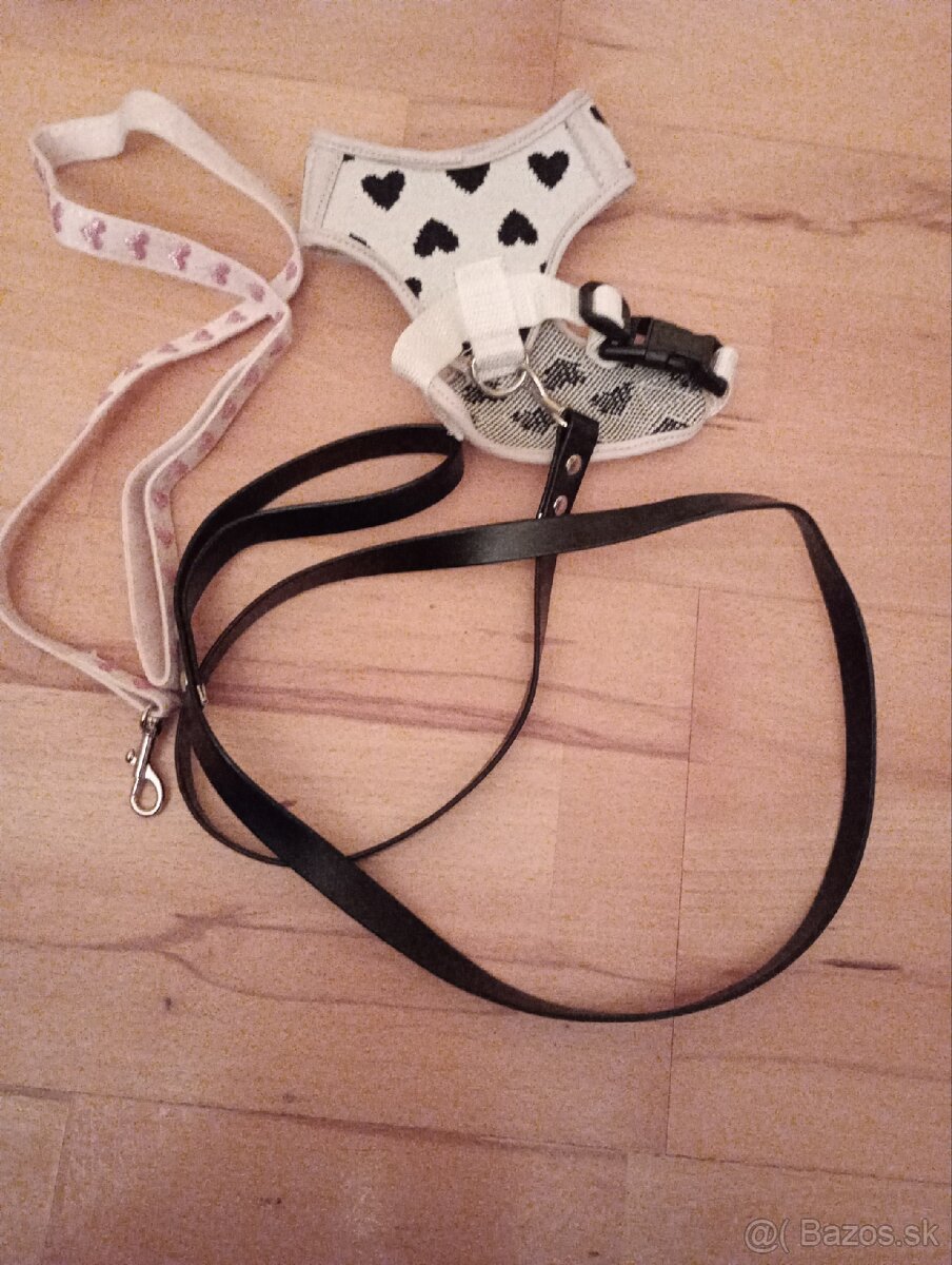 Oblečenie pre malú čivavu - 6