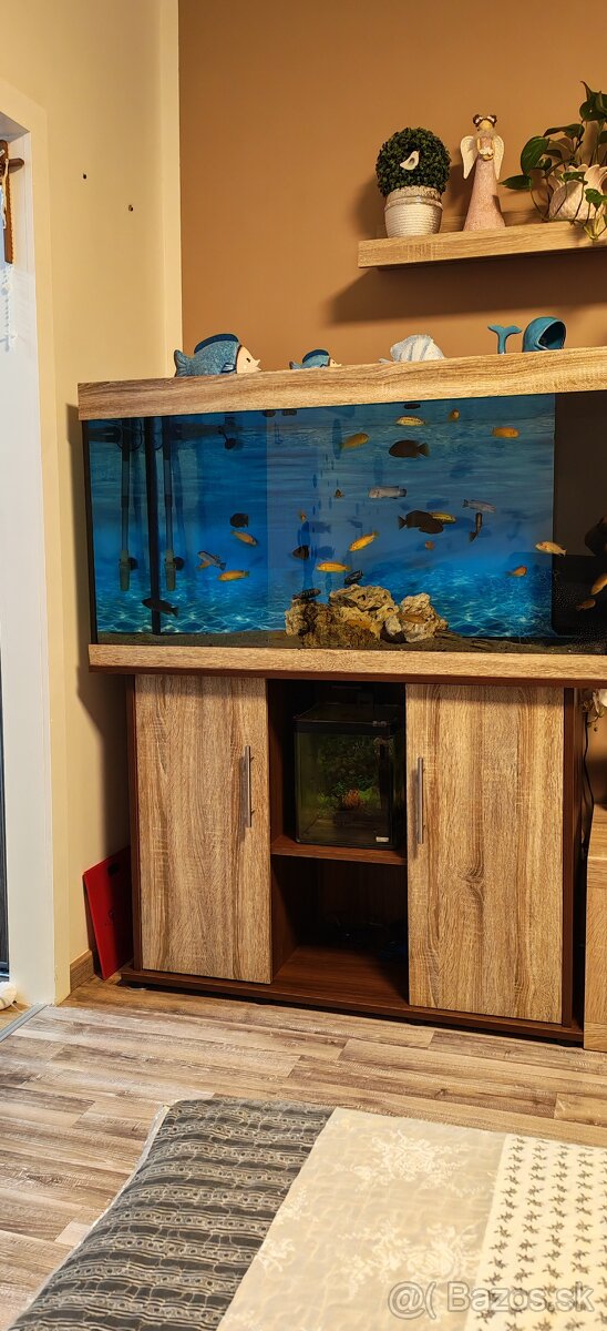 Predám komplet akvarium - 6