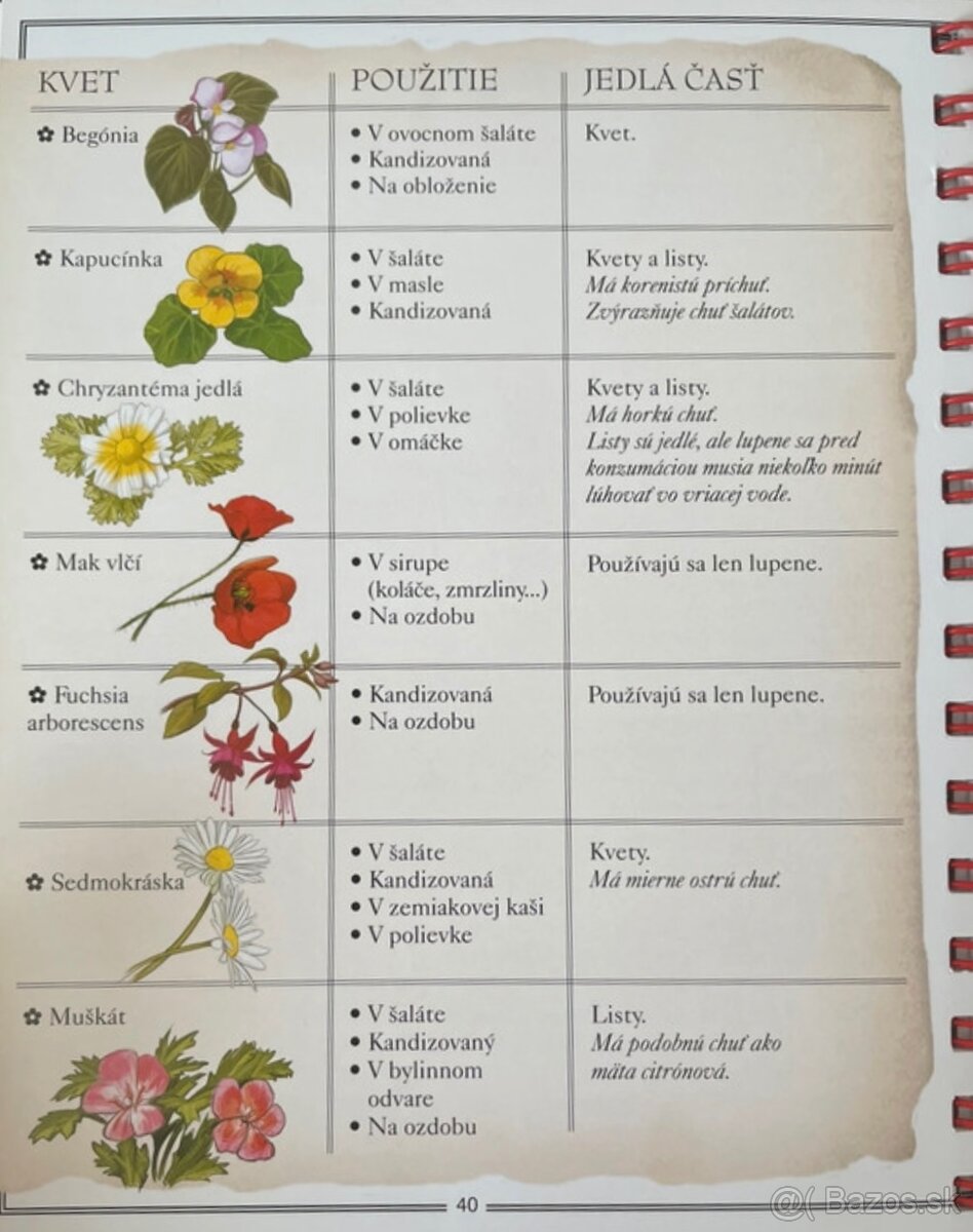 Kniha pre dievčatá Recepty a rady Tipy a triky - Célia Galla - 6