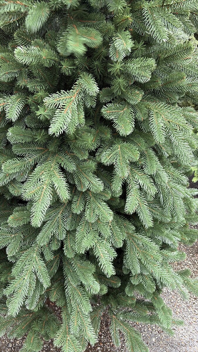 NOVÉ VIANOČNÉ FULL 3D STROMČEKY - 6