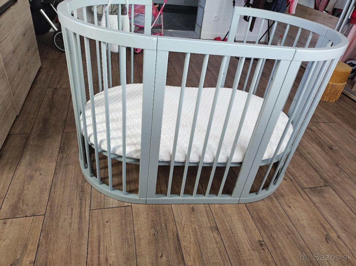 Rastúca postieľka sivá - 6