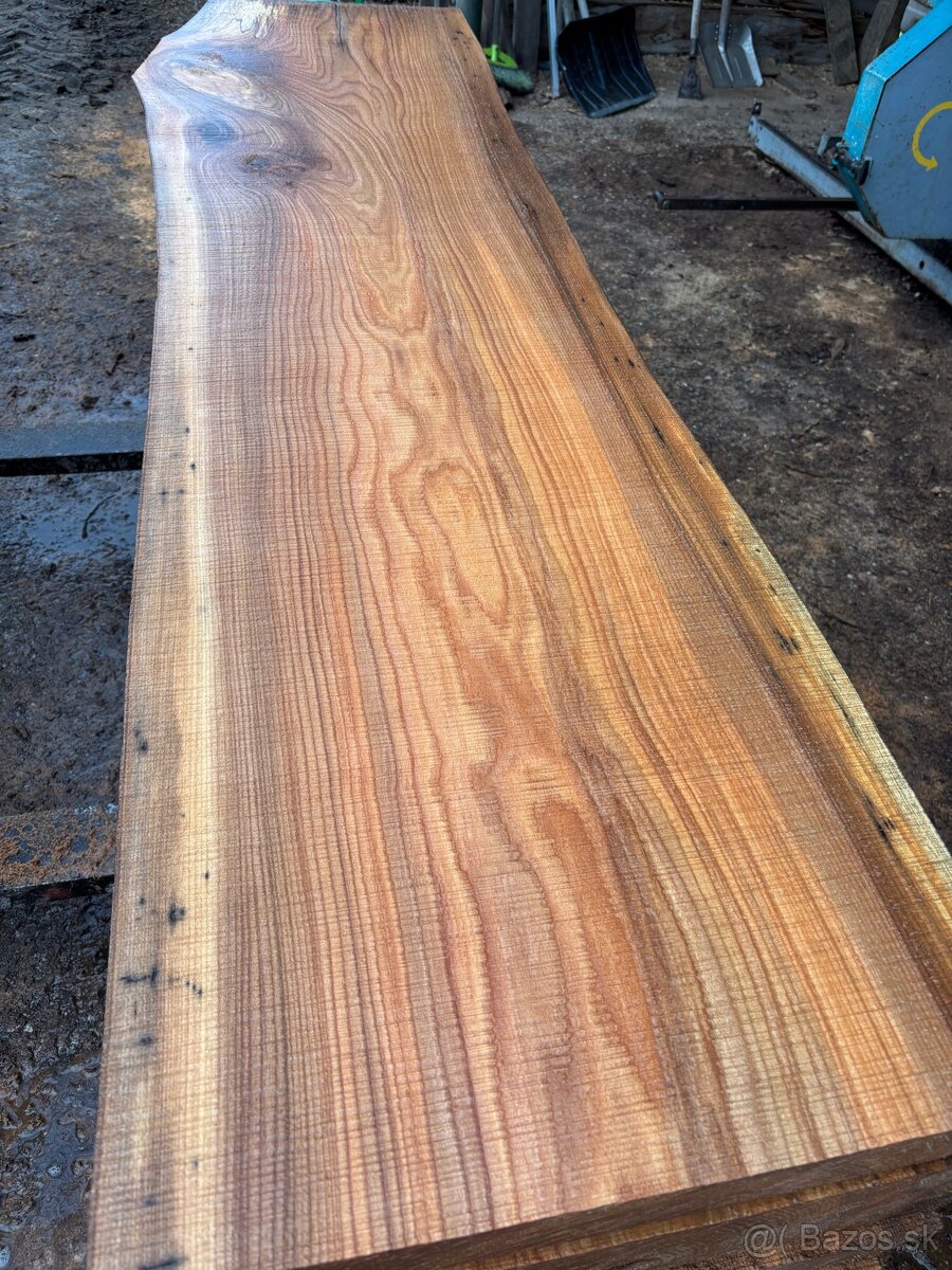 Rezivo Brest Brestove Fošne Kmene Drevo - 6