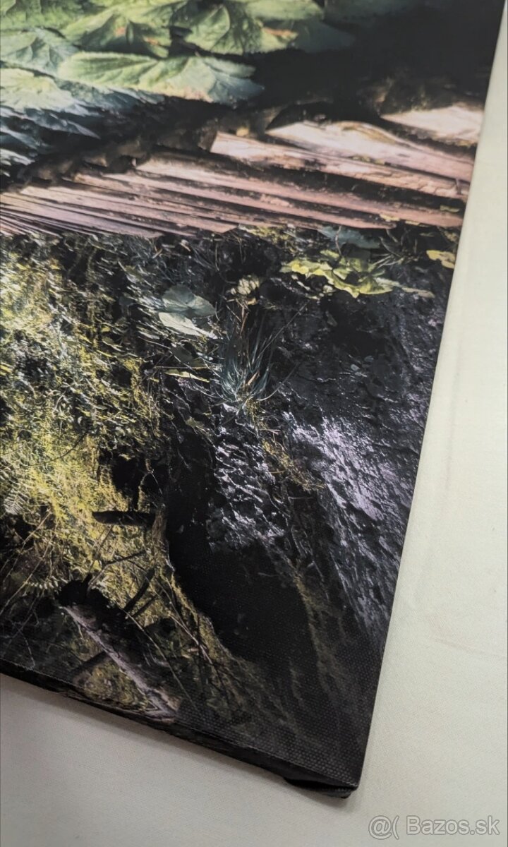 Fotoobraz zo Slovenského raja, oblasť Tomášovská Belá
- 6