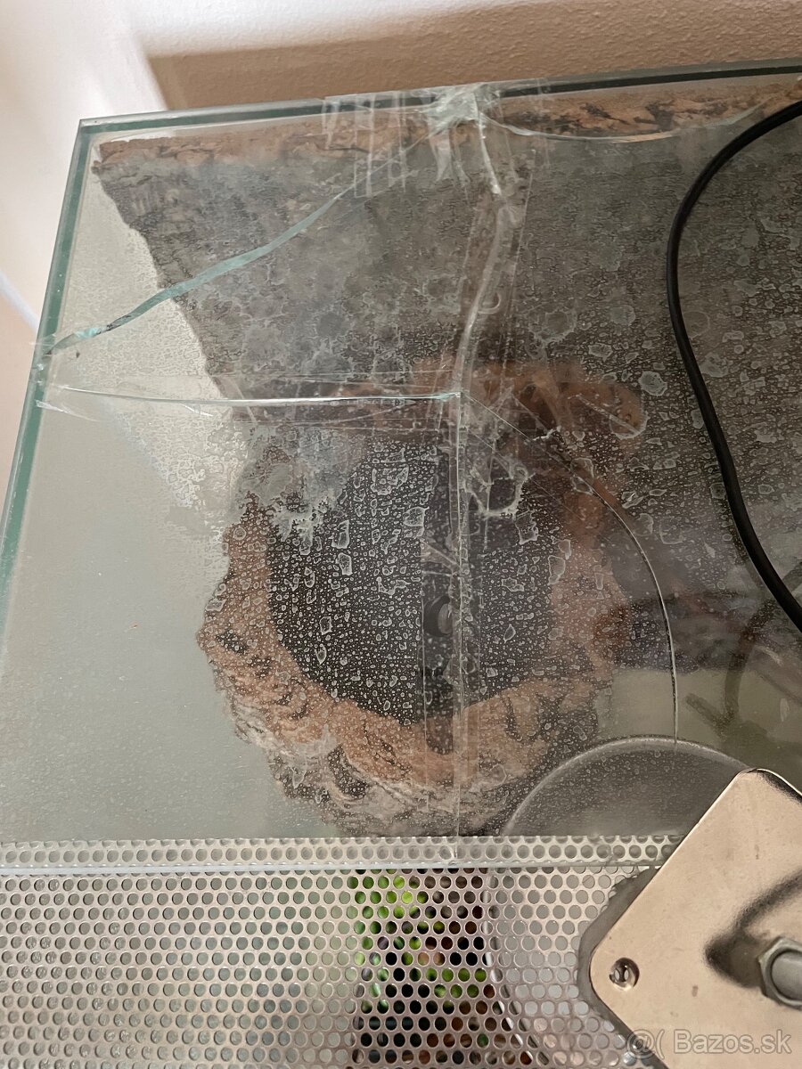 Terarium pre chameleona - 6