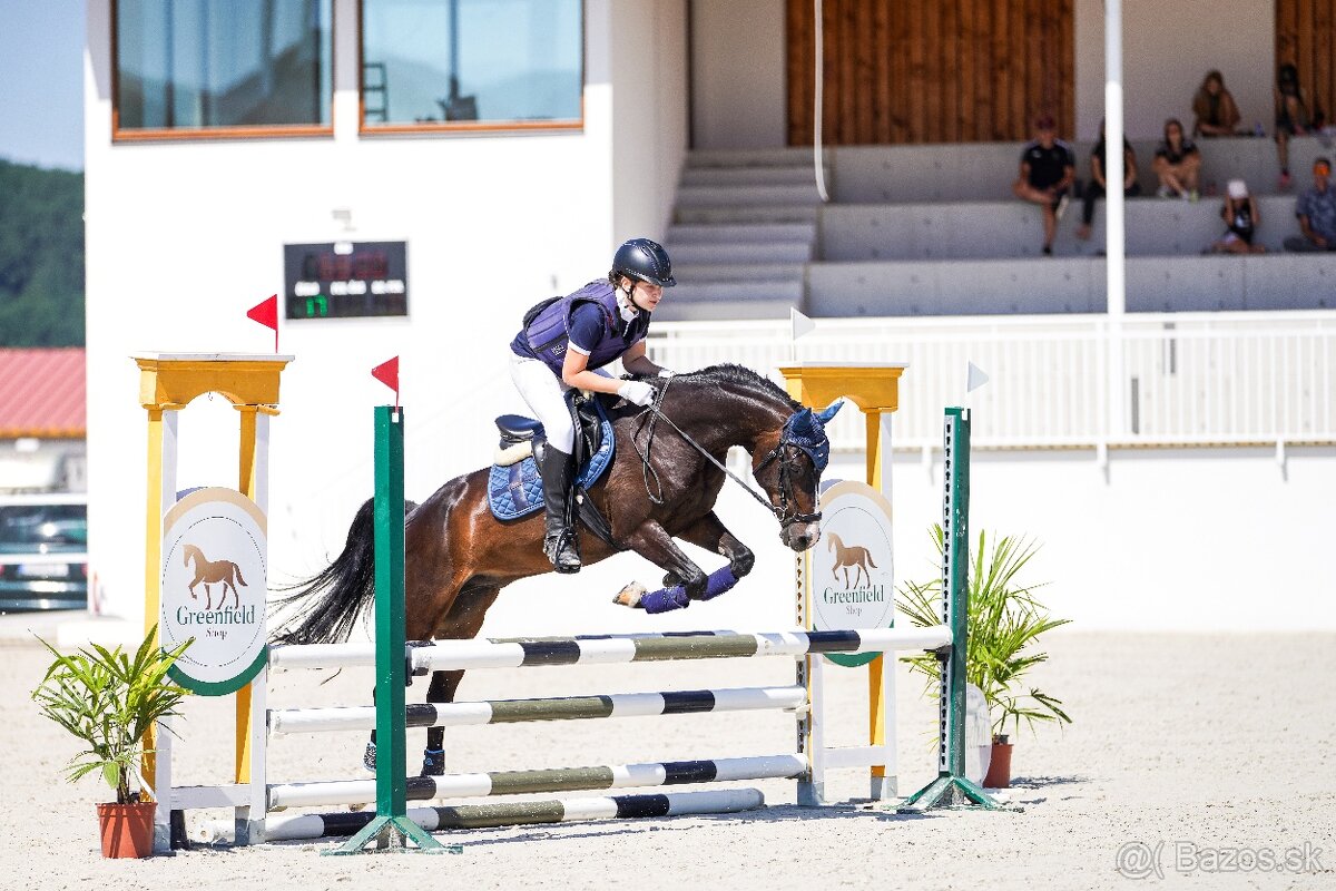 Skúsený pony B (146 cm) do drezúry, aj do parkúru - 6