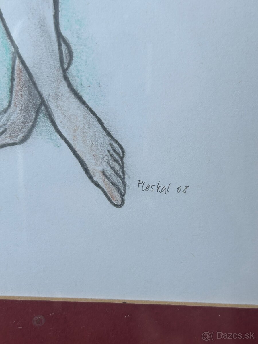 Obrazy série 20 kusu pouze jako celek - 6