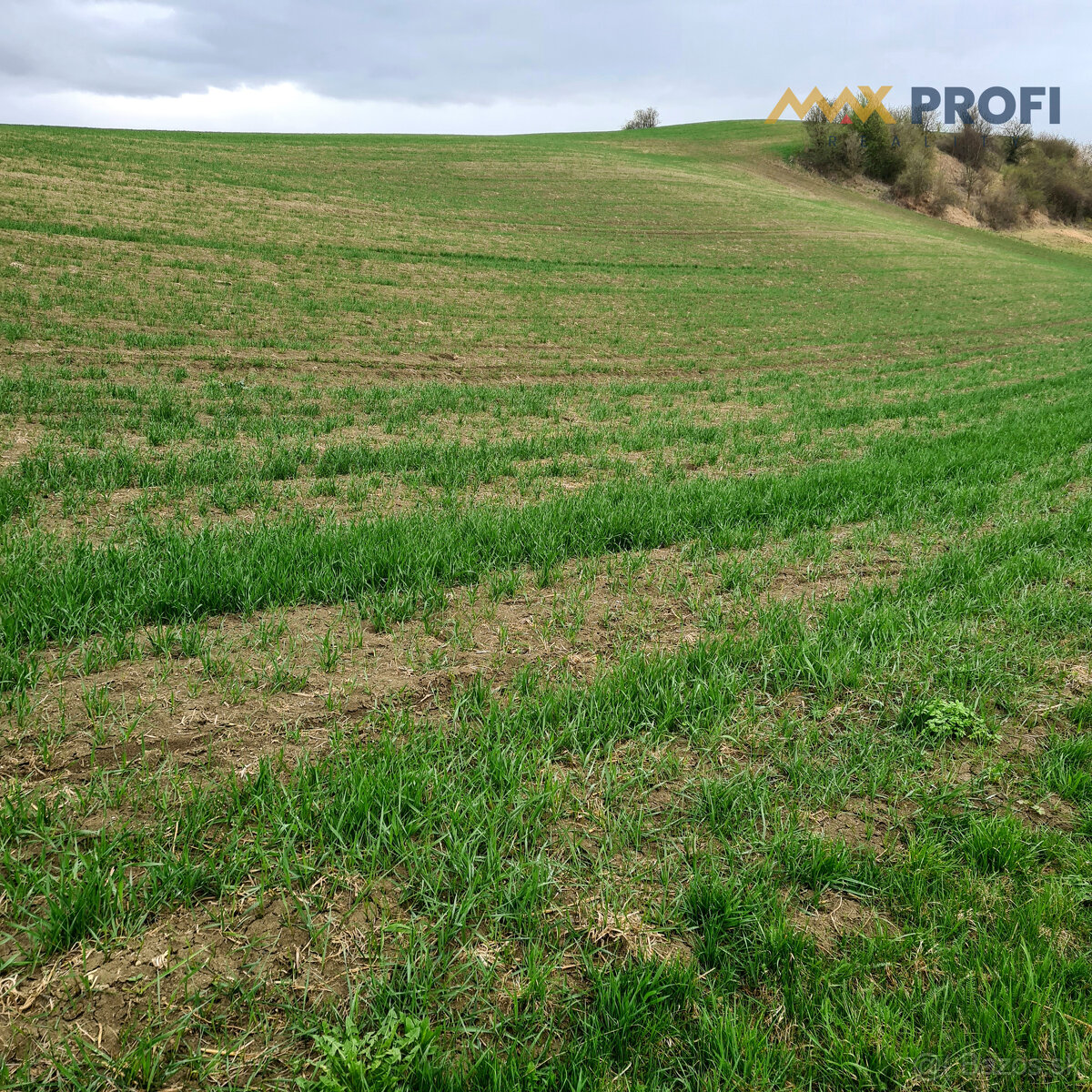 Na predaj, pozemok 5966m2, Turčianske Jaseno, okres Martin - 6