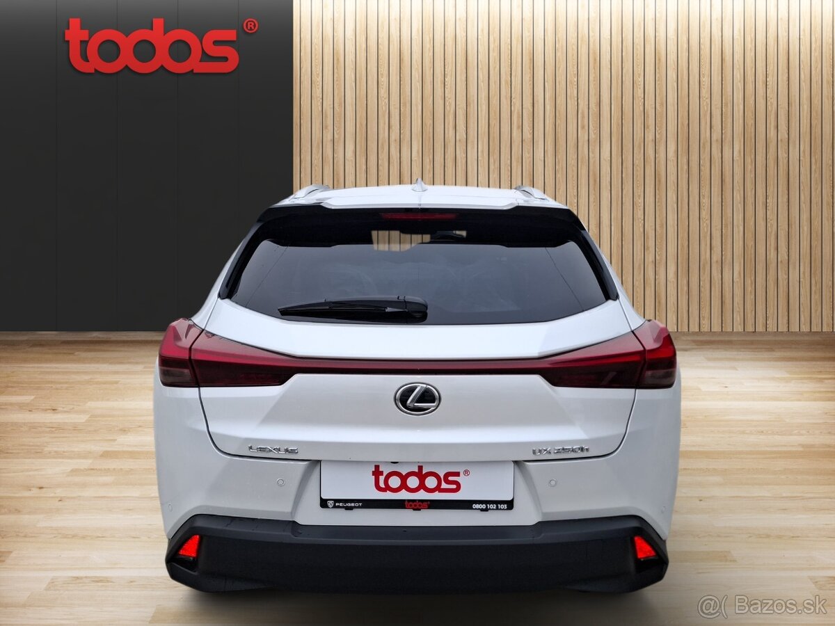 Lexus UX 250h BUSINESS TECH - 6