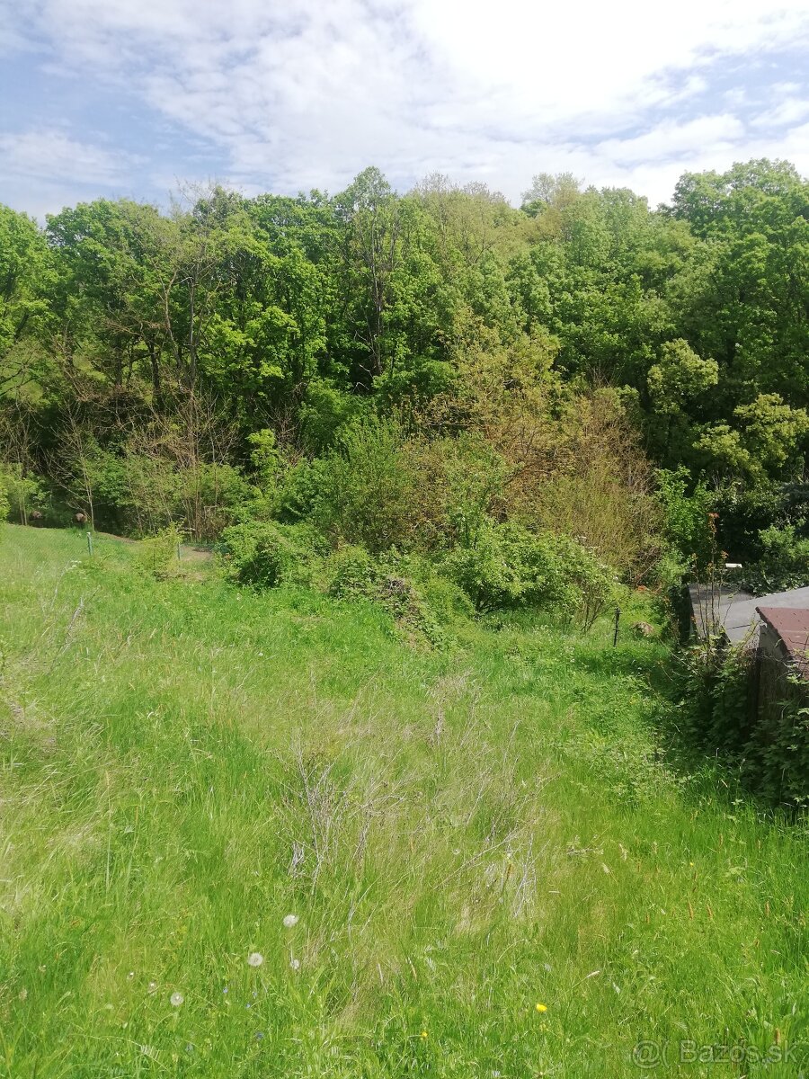 Predám záhradu - 6