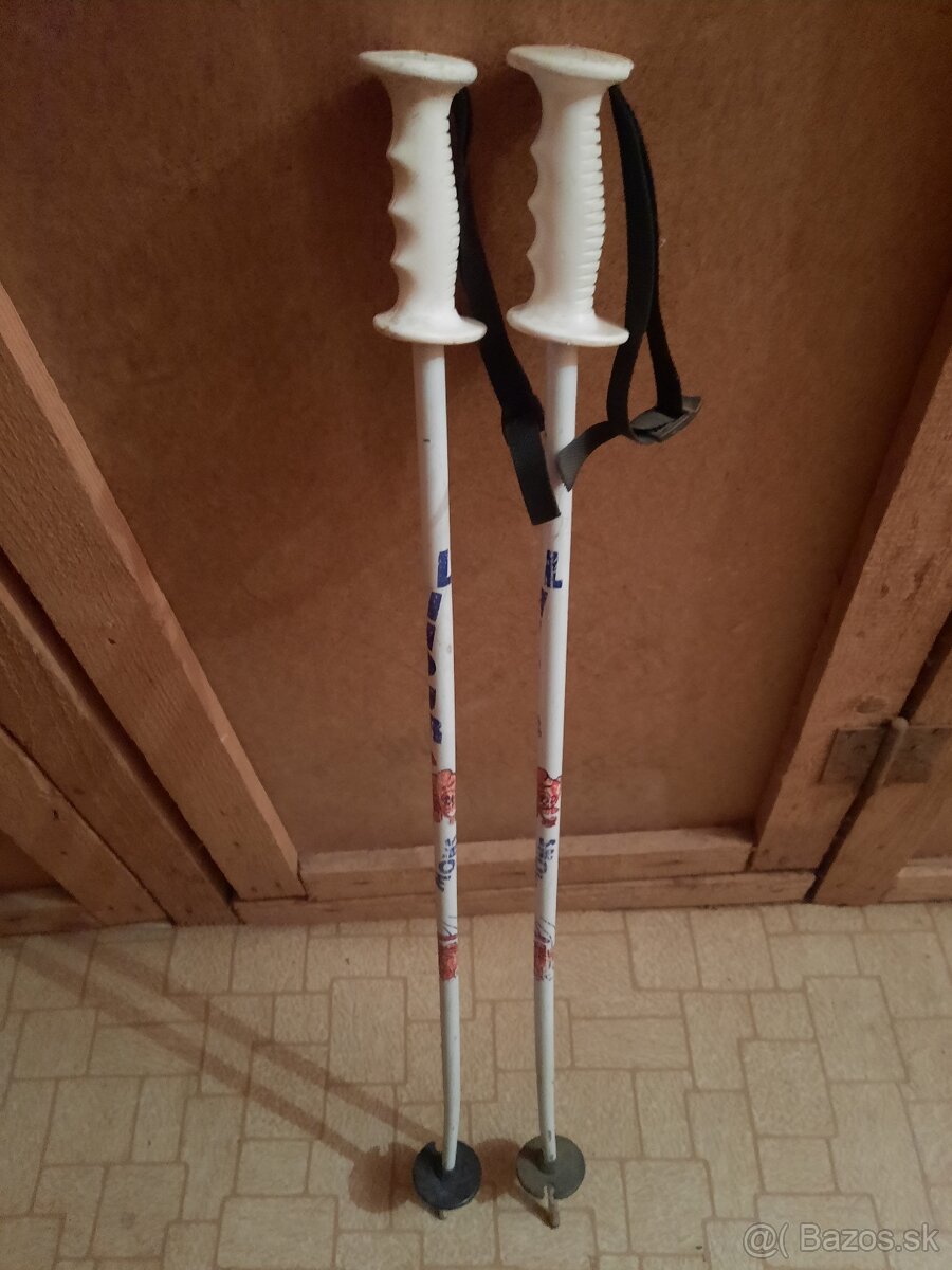 Lyže, palice a topánky - 6