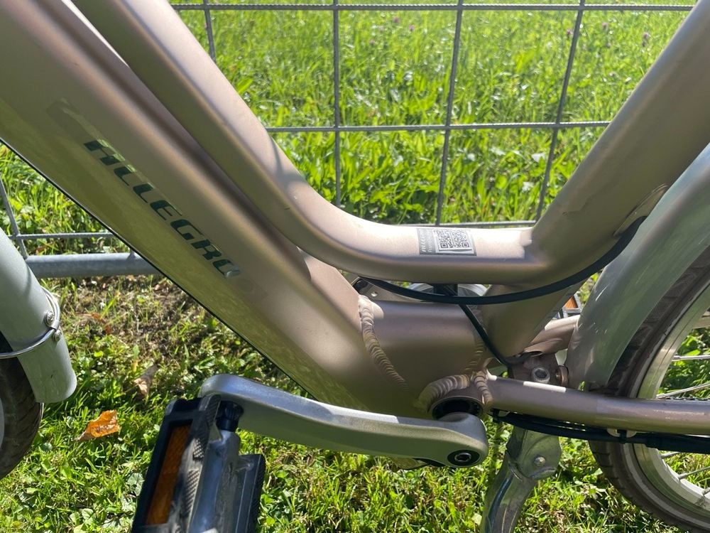 Predam Elektrobicykel - 6