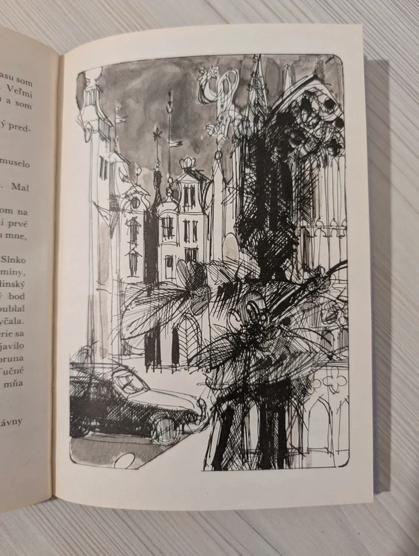 "Makovník plechom obitý" Miťo Vitéz - Kniha s obrázkami - 6