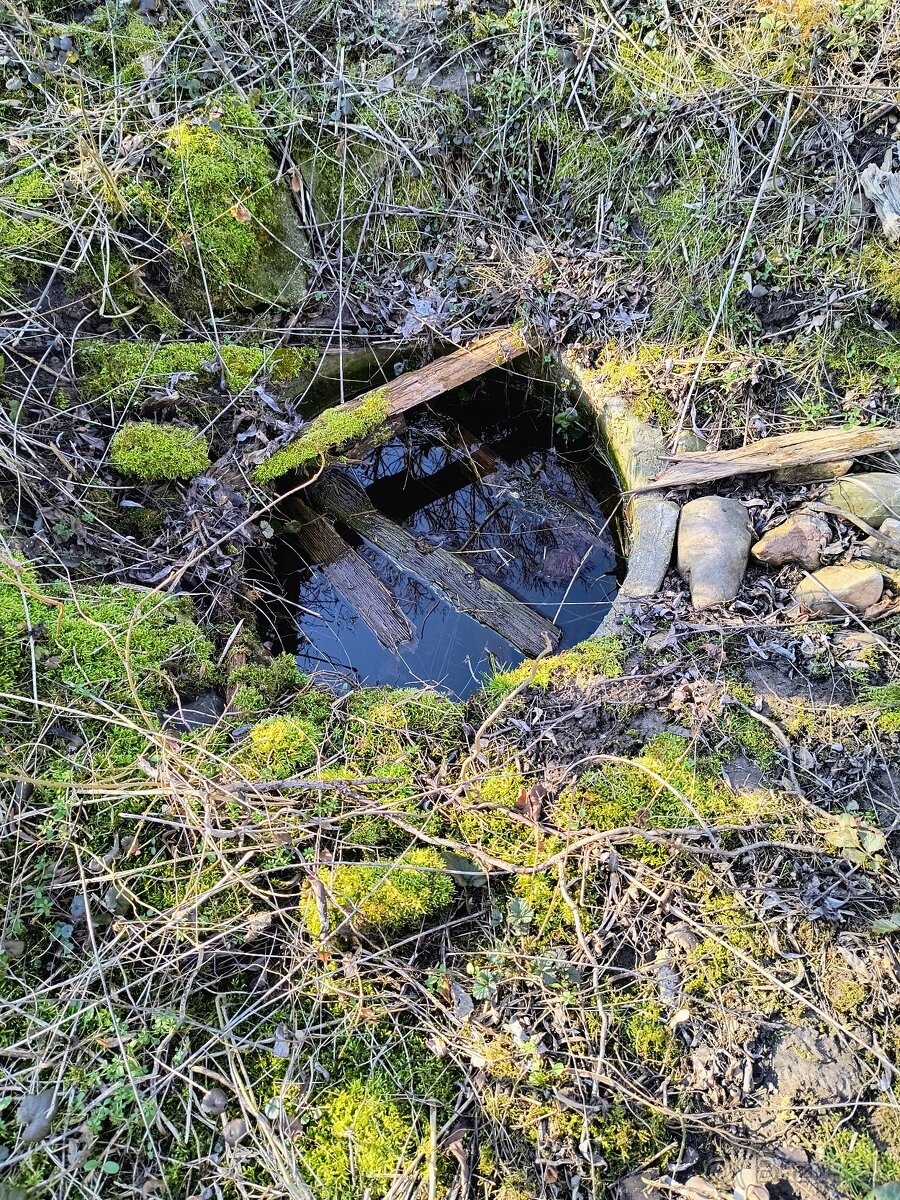 Záhrada v obci Kamenín - 6