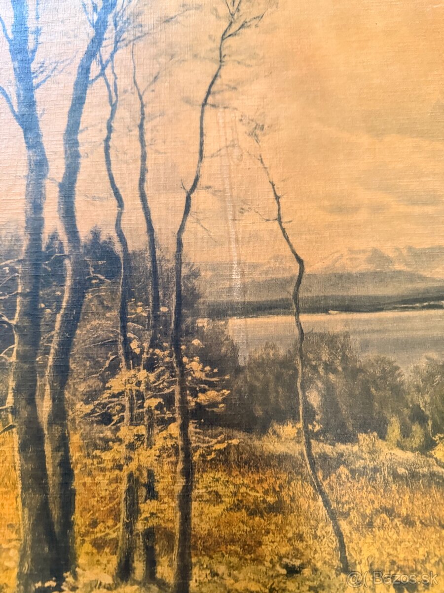 Obraz Josef Schoyerer (1844-1923) early spring - 6