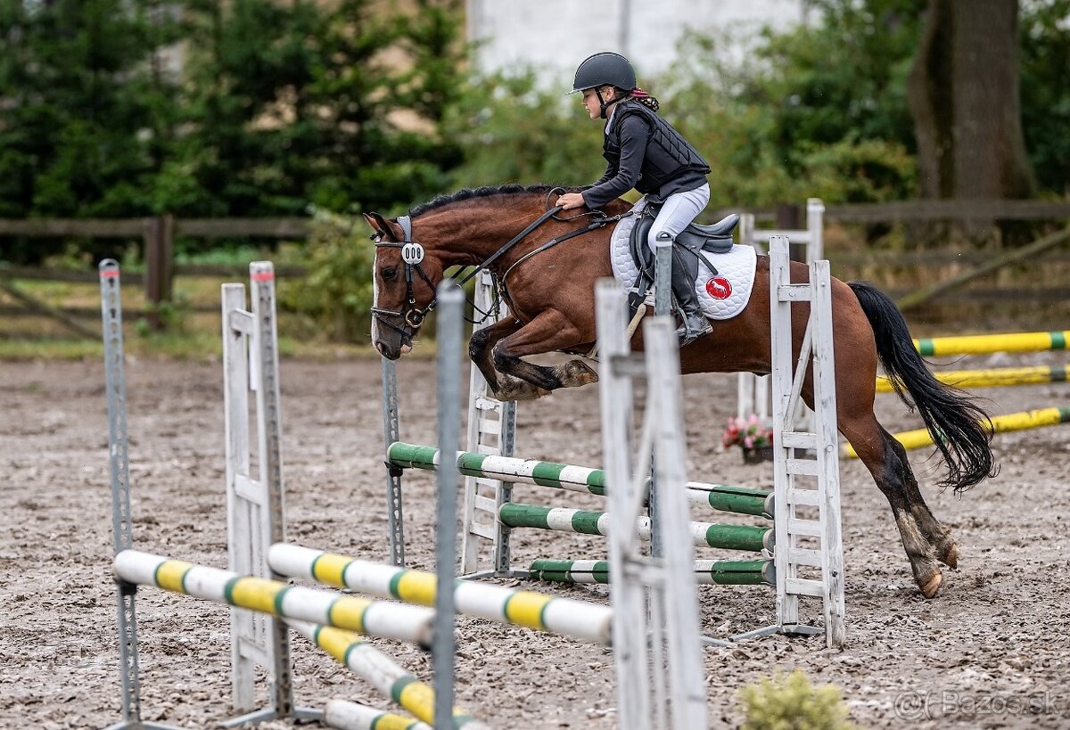 Náš Princ hledá svoji princeznu - 6