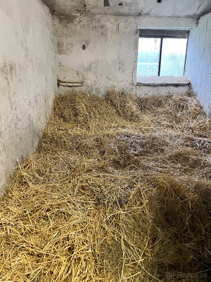 Ponúkame ustajnenie - 6