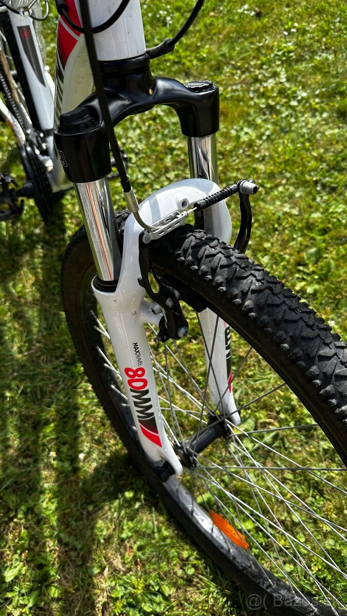 Dámsky bicykel - 6