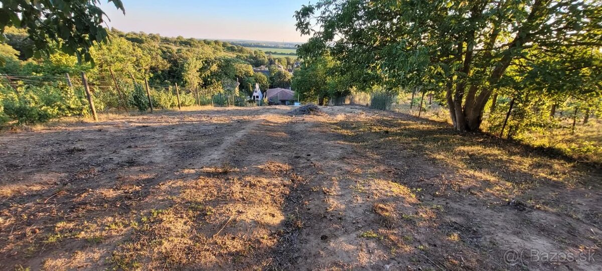 Pozemok na predaj_Staré Predné Levice_1000m2 - 6