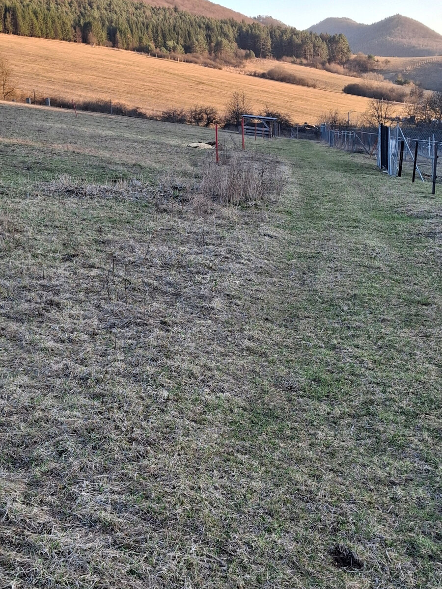 Predaj orná pôda Bodiná 3830 m2 - 5,00 m2 - 6