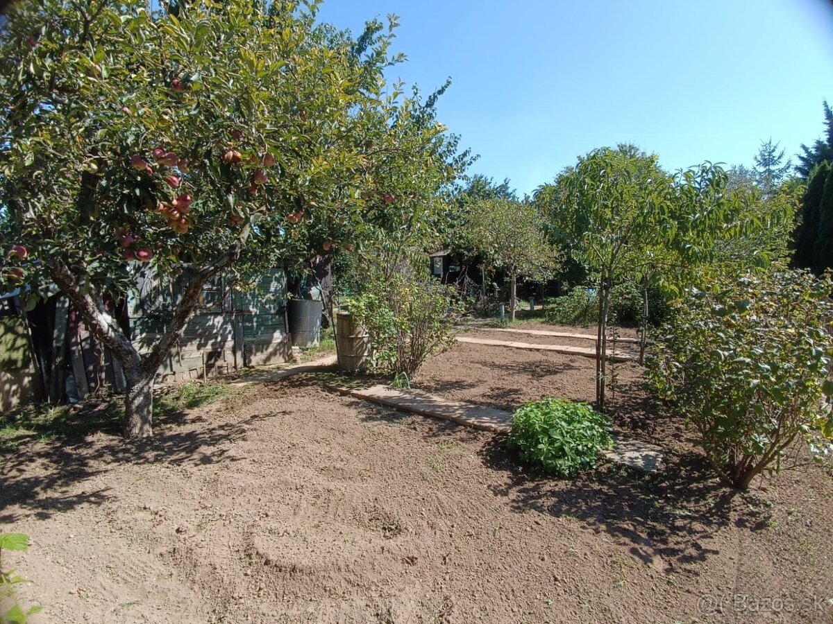 Zahrada v zahradkarskej osade v Sali - 6