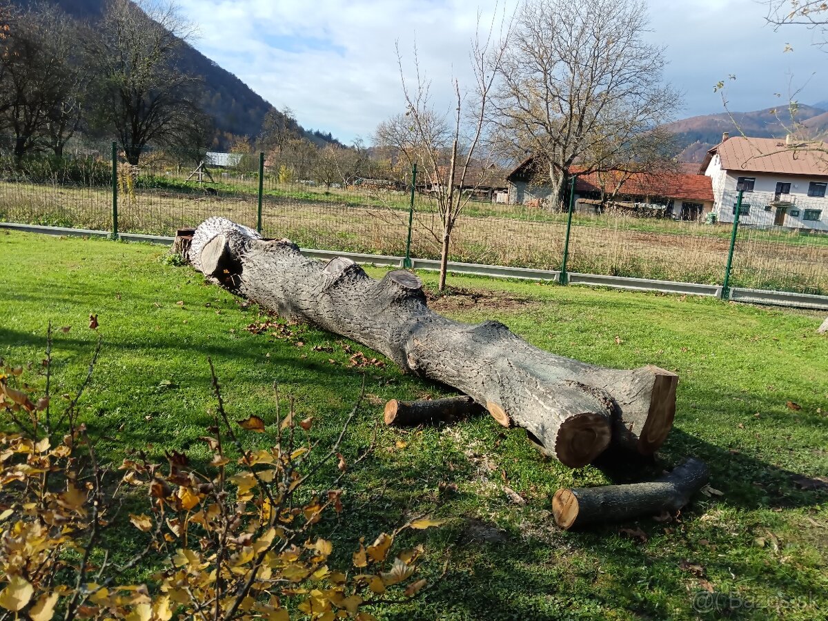 Predaj Orechové drevo - 6