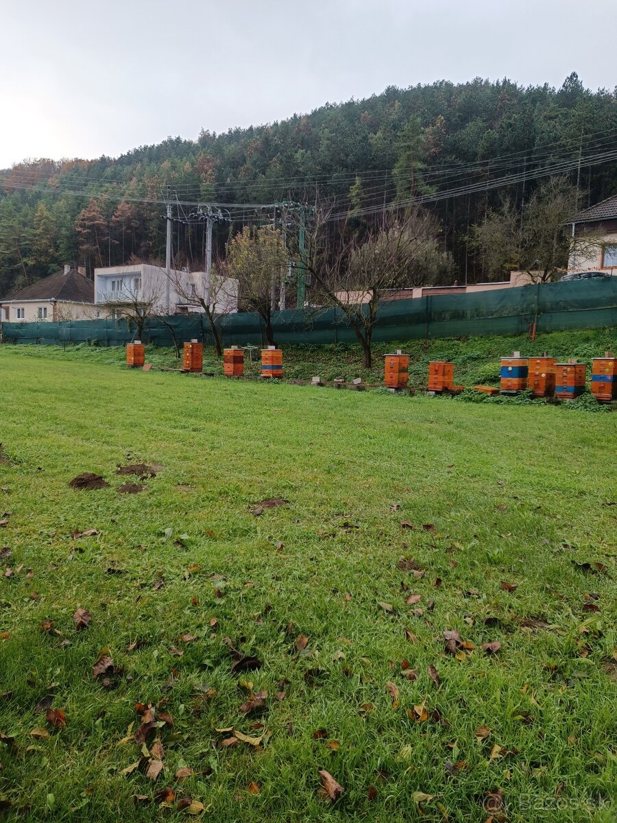 Pozemok v obci Modrová okr.NM - 6