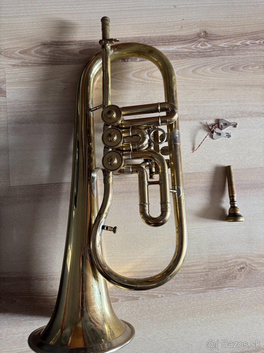 Krídlovka značka Lidl Brno - 6