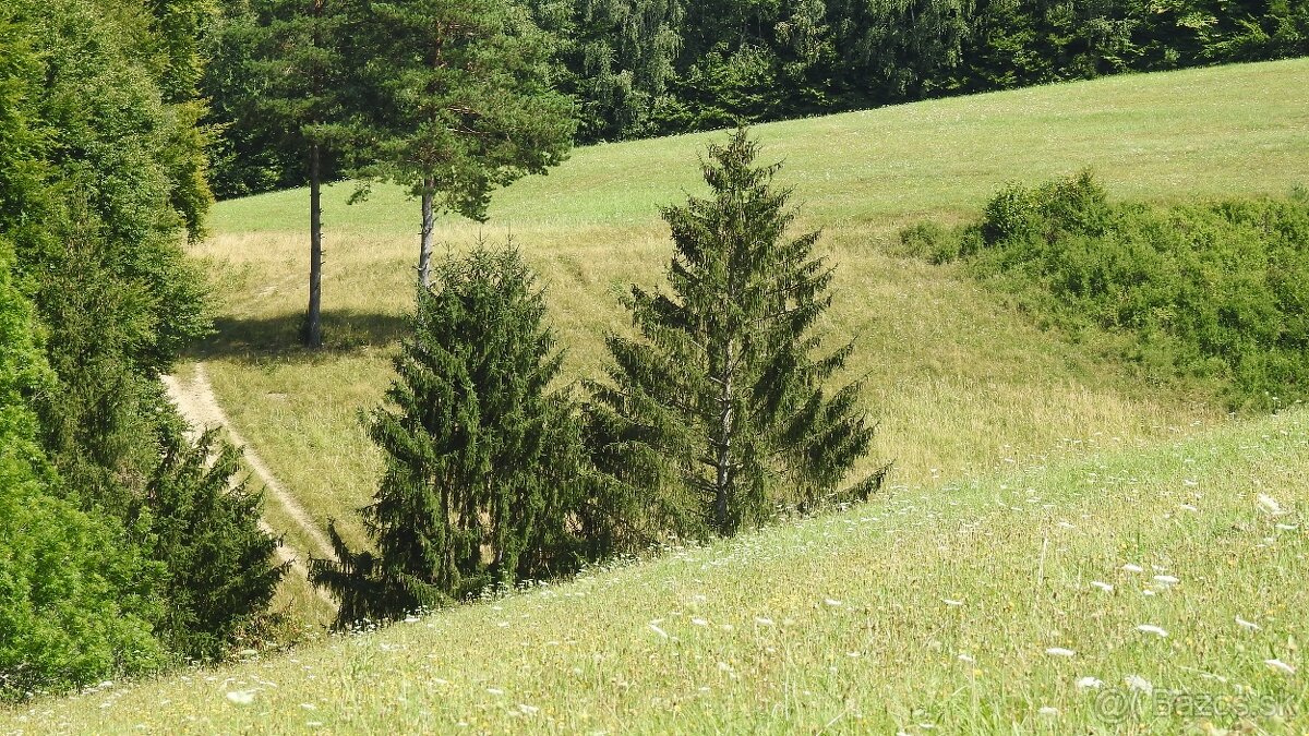 Pozemok na predaj 5 eur m2 Ski Park Desna - 6