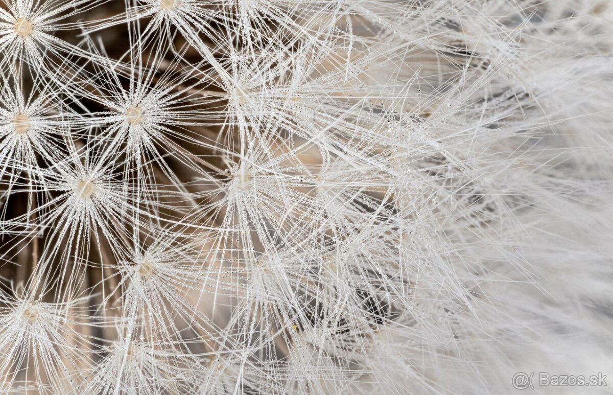 Sony FE 90 mm F2.8 Macro G OSS - 6