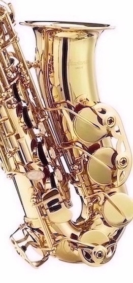 Predám nový alt saxofón - celý set - 6