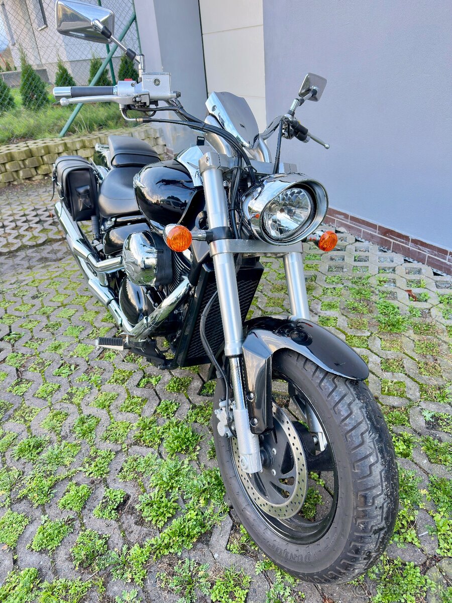 Suzuki c 800 Intruder - 6