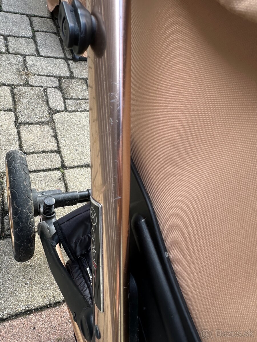 Kočiar coletto dante - 6