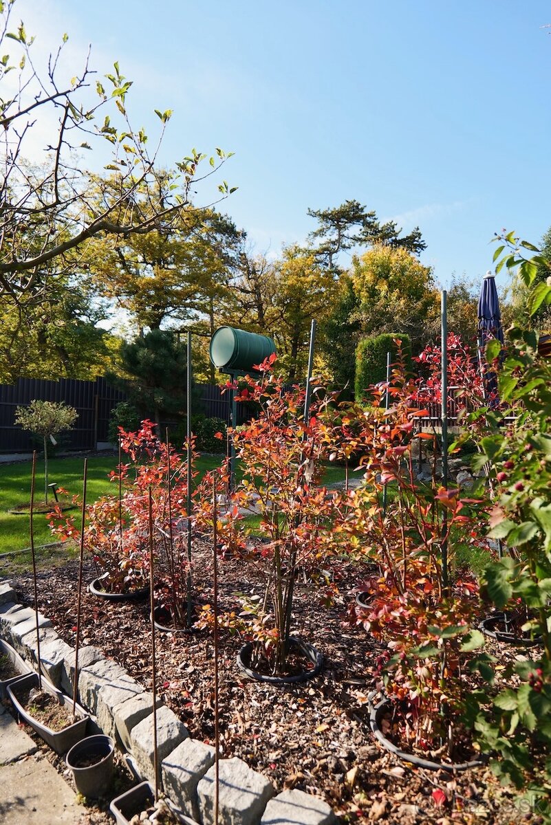 Stavebný pozemok 399 m² – tichá lokalita pri lese, Pekná ces - 6