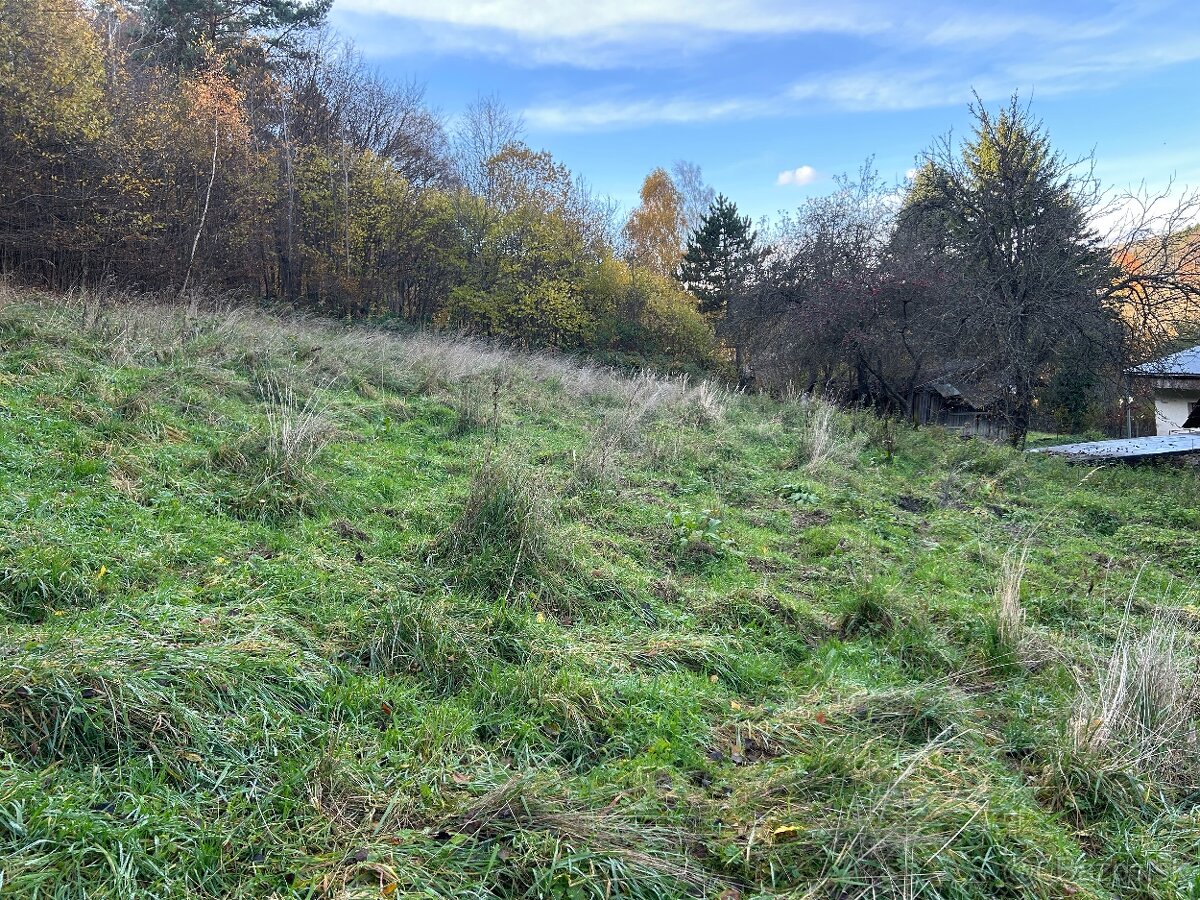 Predám pozemok 7802m2 - 6