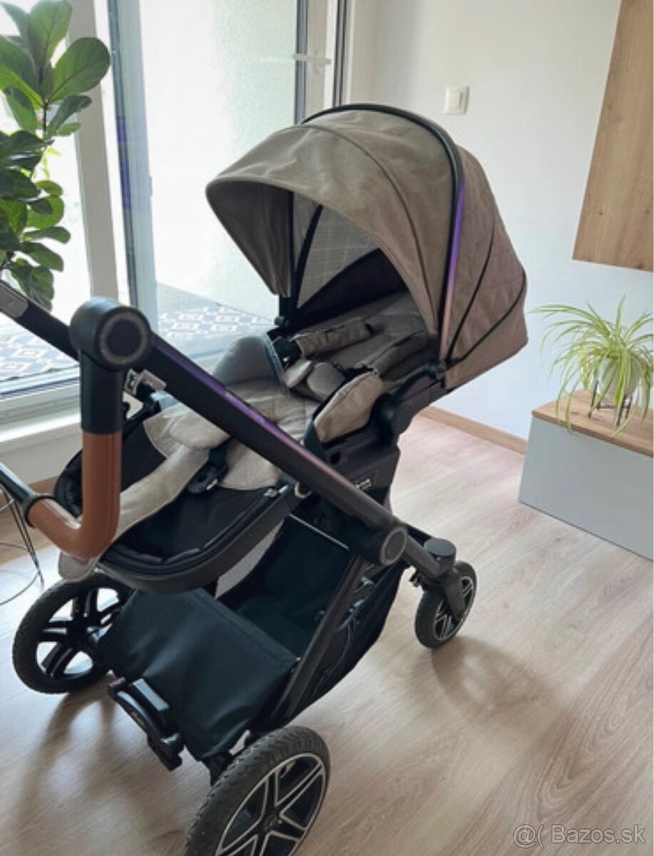 Hartan Viva GTR Buggy - 6