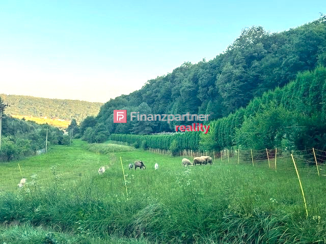 Štýlový rodinný dom pod lesom na peknom mieste v Kanaši (F50 - 6