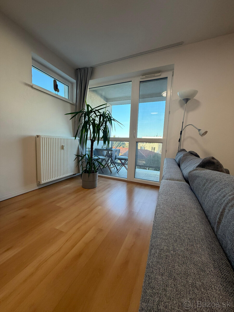 Prenajom 2 izbovy byt - 6