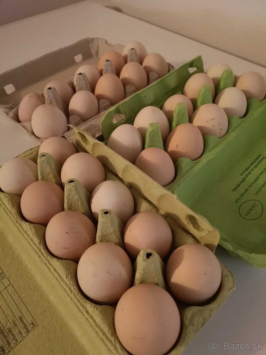 SLEPAČIE VAJCIA - 6