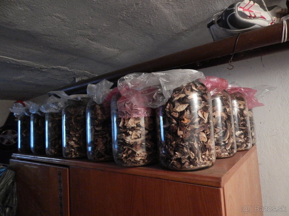 Predám sušené dubáky. - 6
