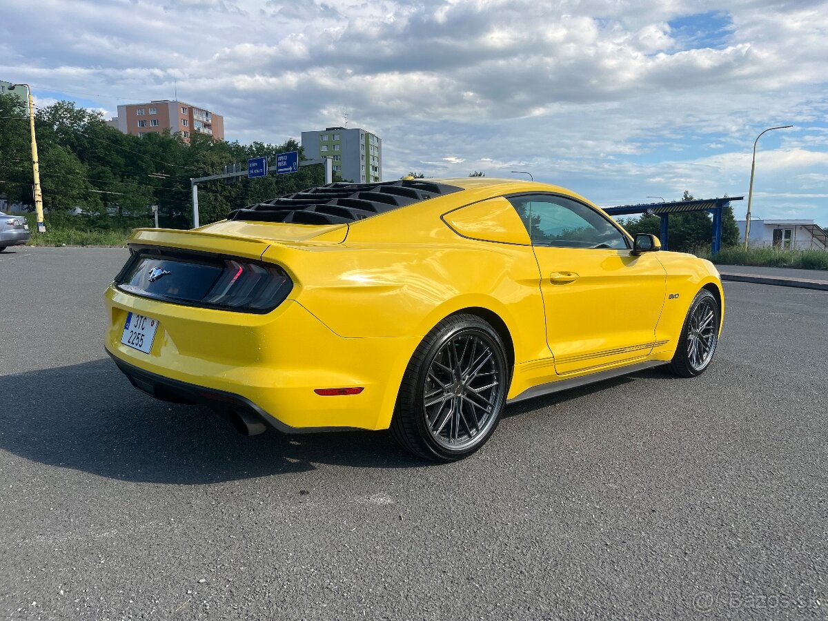 Mustang - 6