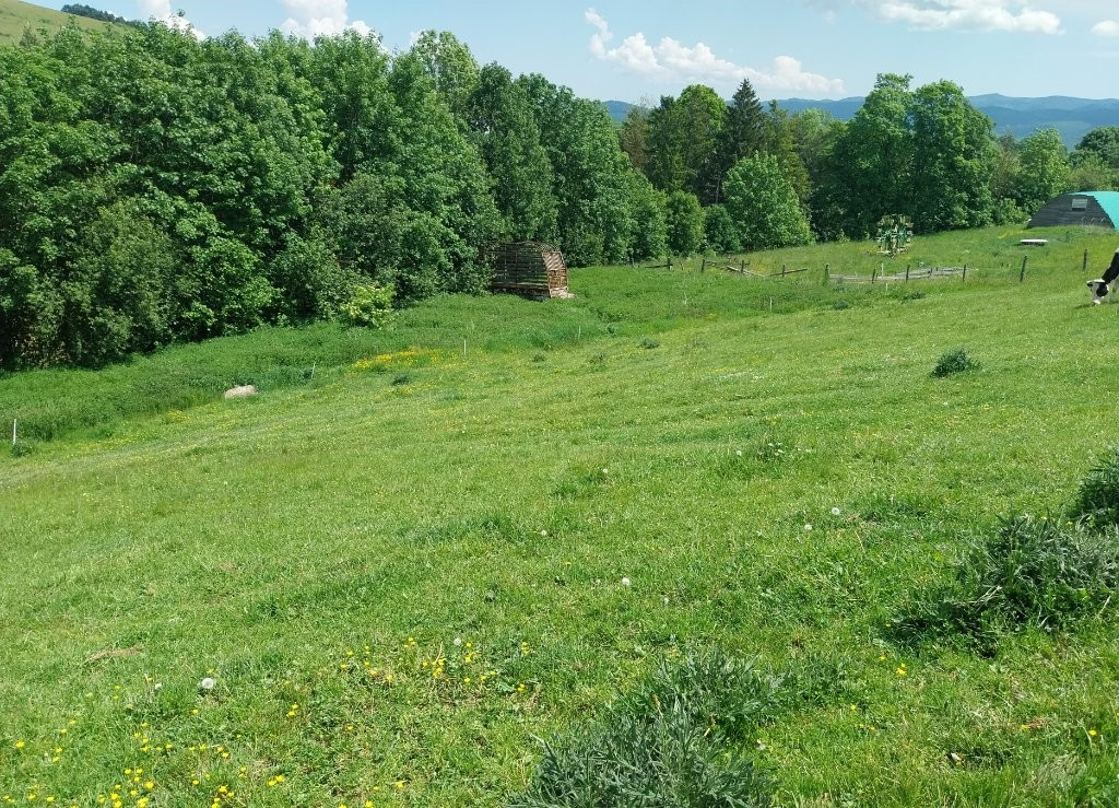 Predám pozemky v katastri Vojňany - 6