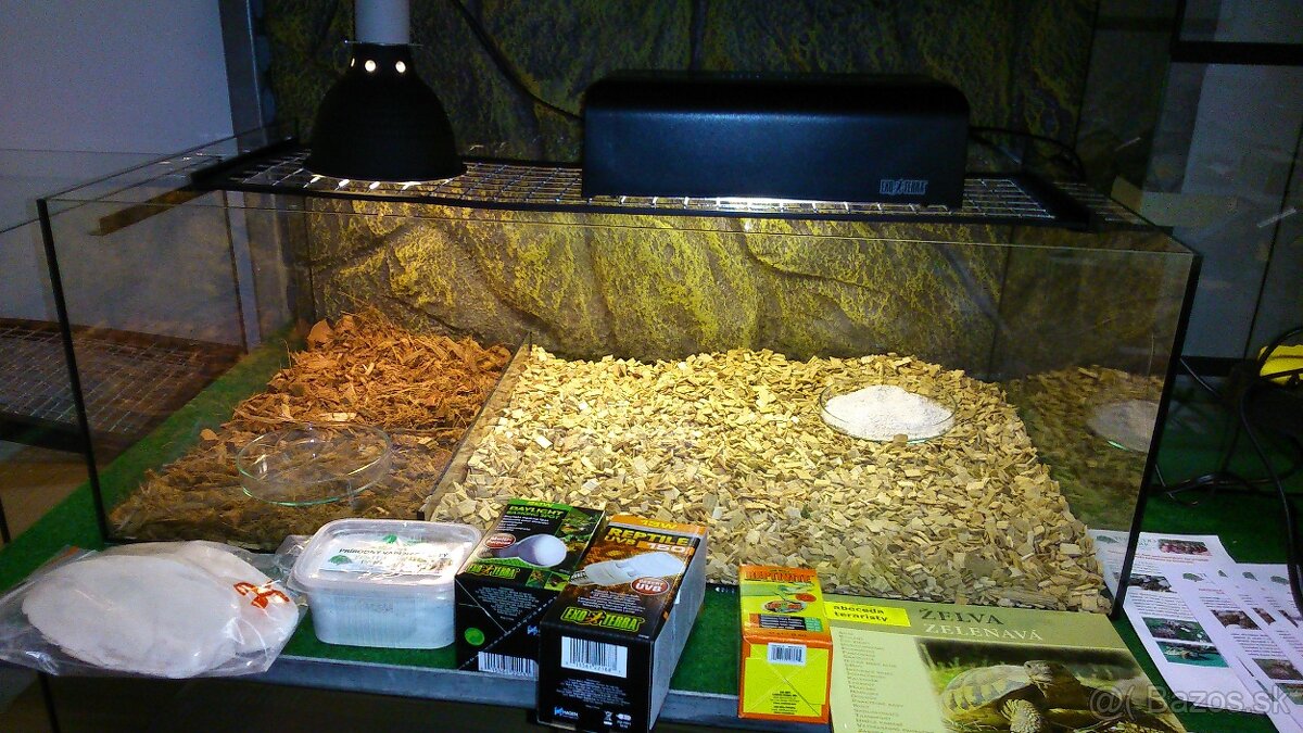 Suchozemská korytnačka - 6