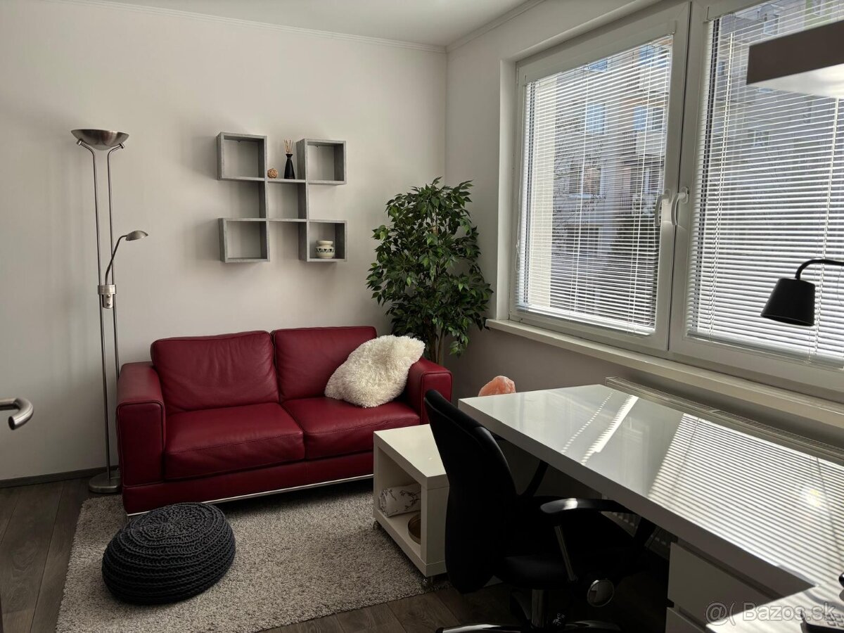 1 izbový byt, prenájom - 6