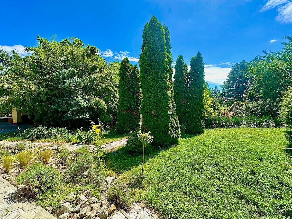 7-izb. Rodinný dom s bazénom na pozemku 5.100 m2 - 6